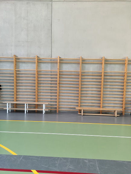 Espalderas Gimnasio